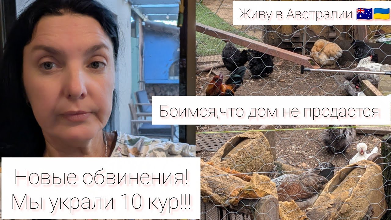 Живу в Австралии 🇺🇦🇦🇺 Нас обвинили в воровстве кур!Боимся,что соседка не продаст дом. Слишком дорого