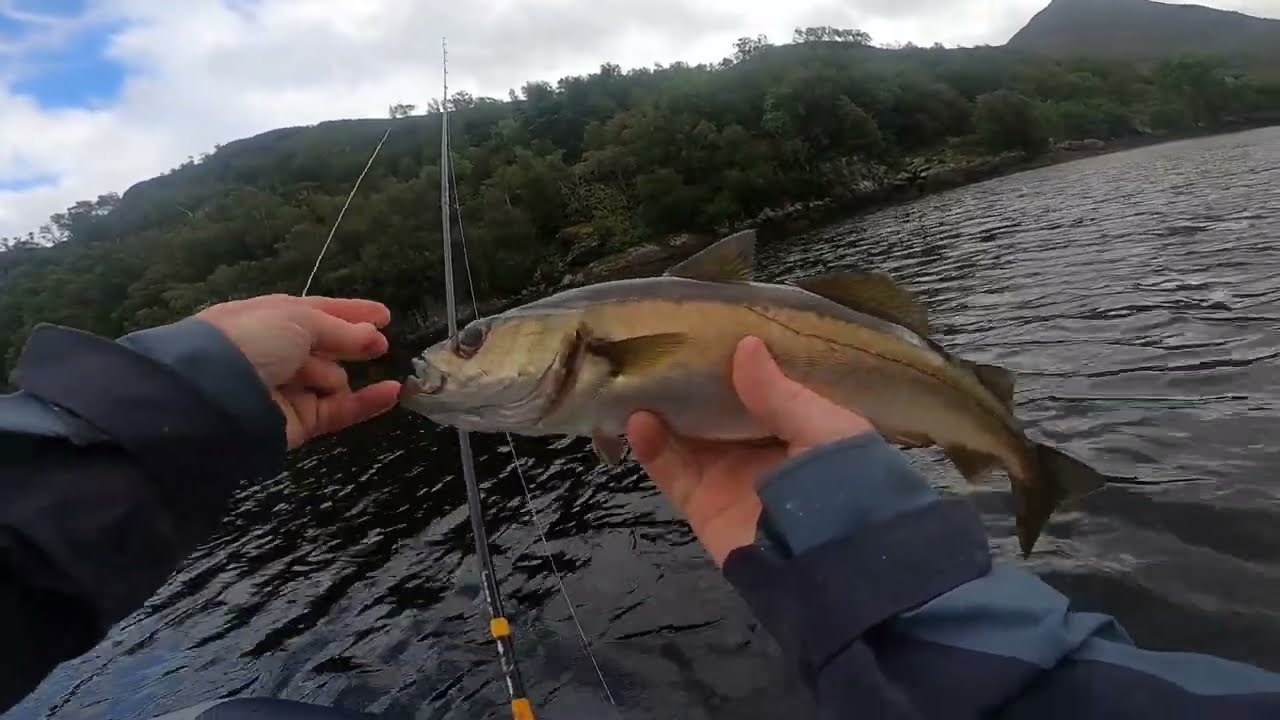 Sea fishing tour of Scotland: Part one