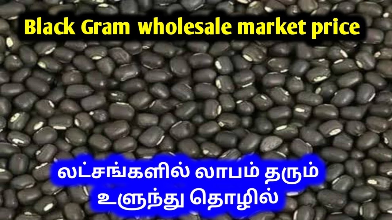 உளுந்து கிலோ 40 ரூபாய்க்கு கிடைக்கும் | Black Gram wholesale market price | Urad dal wholesale price