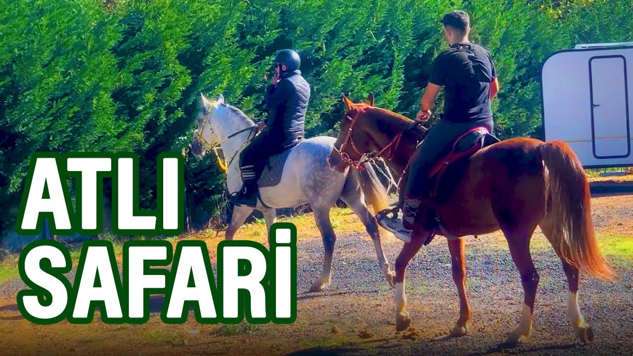 ATLI SAFARİ | Ormanda dörtnala at binme | 4K | Horse Riding | Al Arap ATI