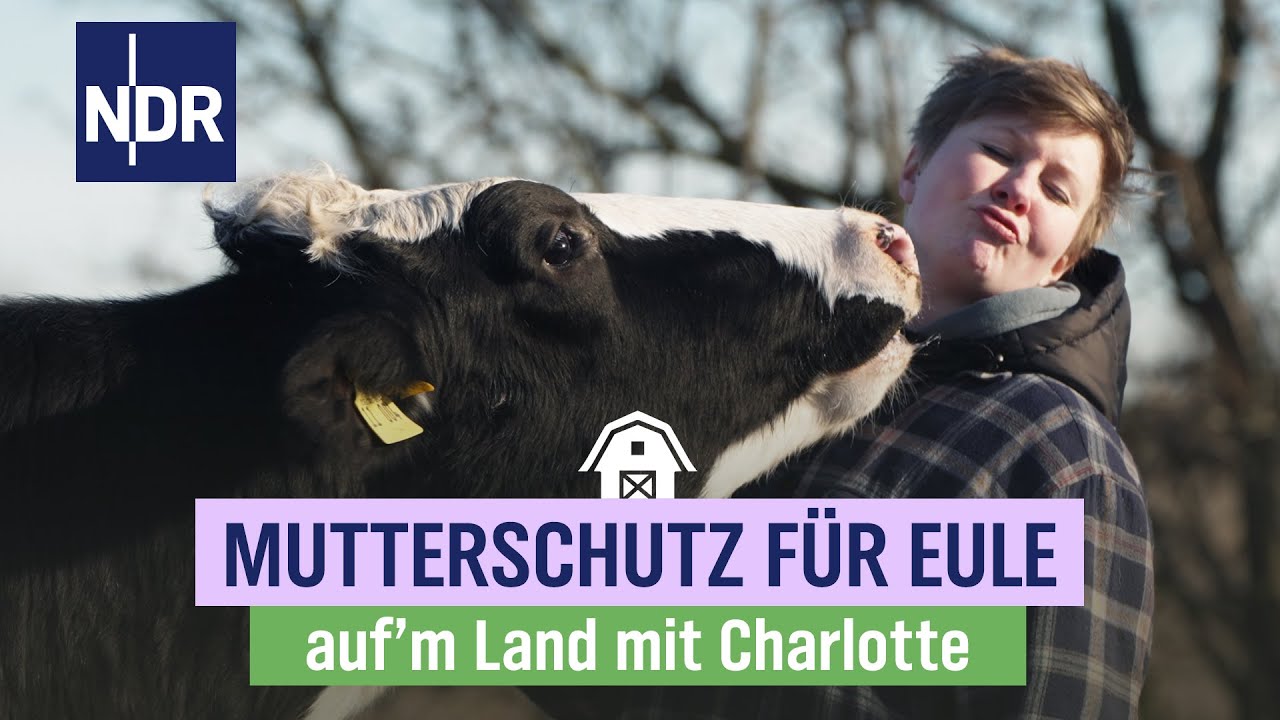 Charlotte und die tanzenden Kühe | Folge 16 | NDR auf'm Land