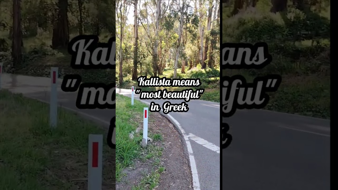 Walk the Dandenongs - Lyrebird track from Grants Picnic ground - 45 min stroll in 5 mins