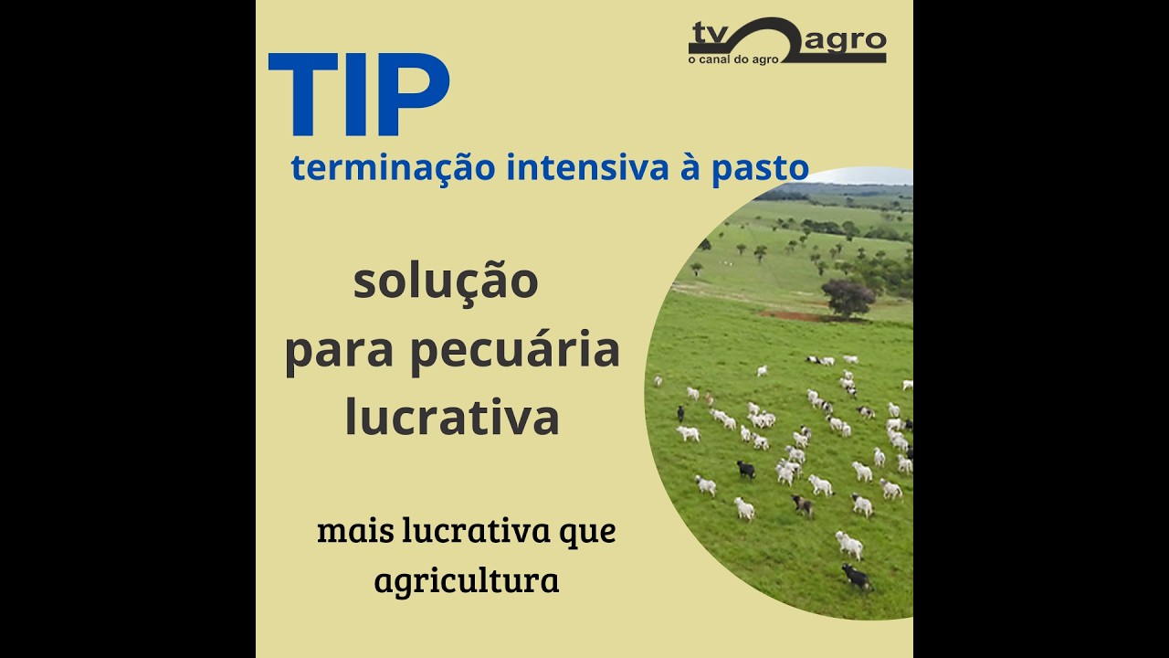 TIP dá mais lucro que agricultura