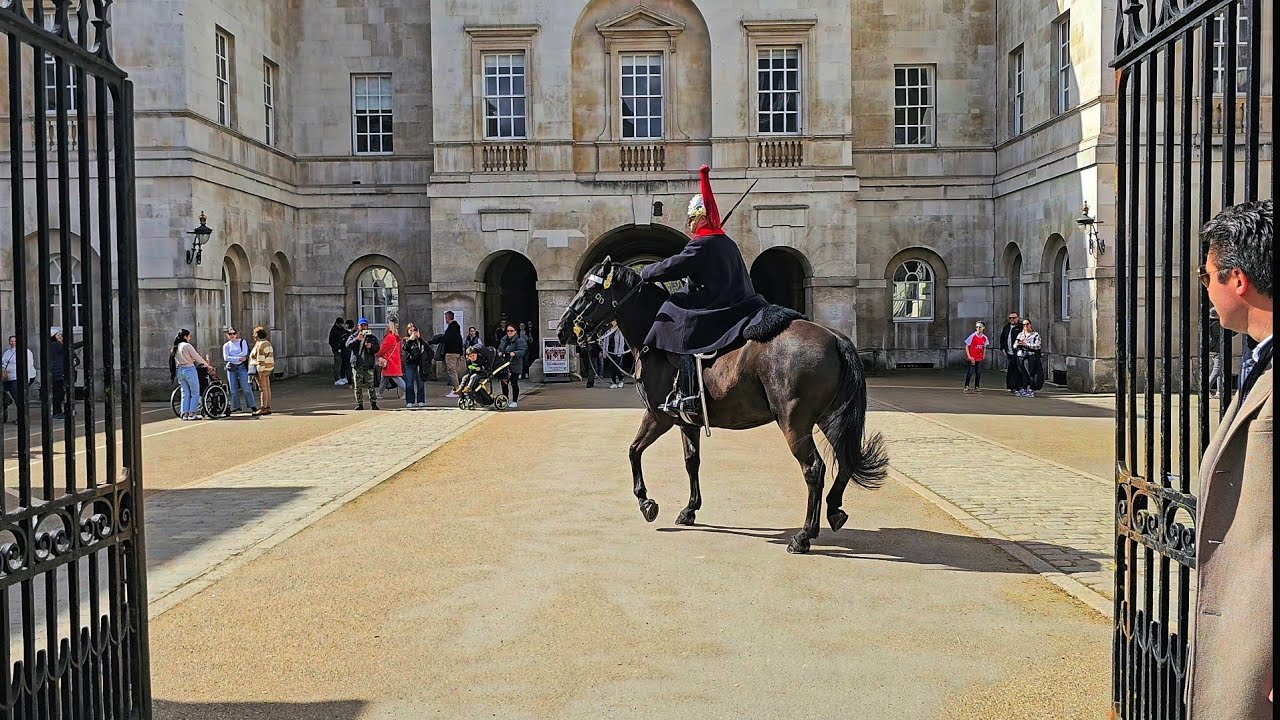 SUPERSTAR LADY TROOPER does it again as horse QUITS - Saturday chaos at Horse Guards!
