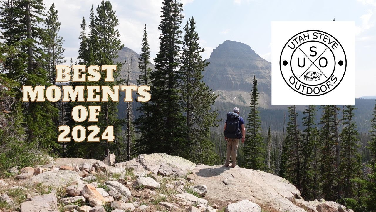 The Best Moments of 2024