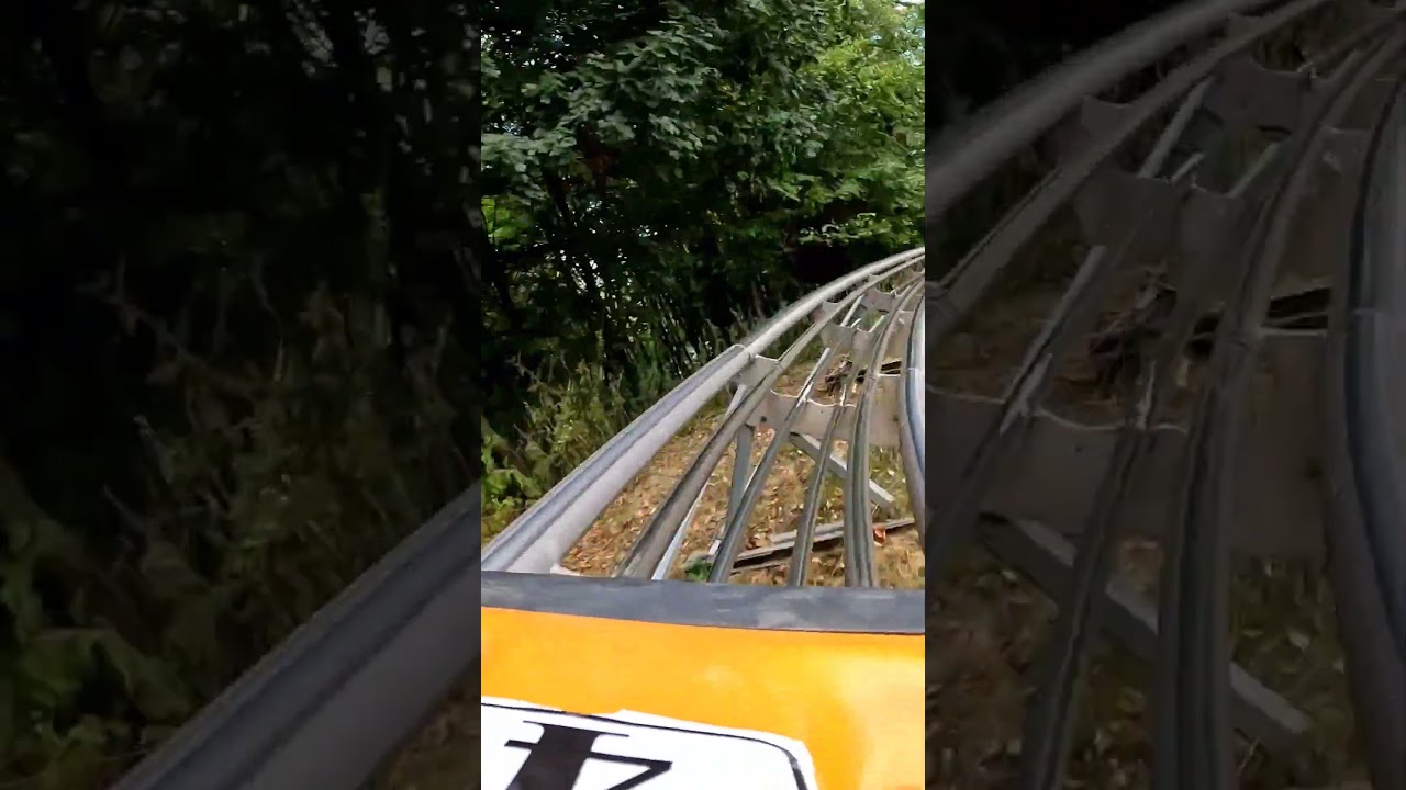 Kislőd Alpine Coaster #alpinecoaster #action #hungary