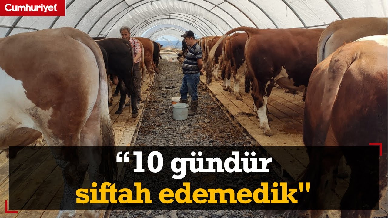 Kurban pazarlarında durgunluk: 