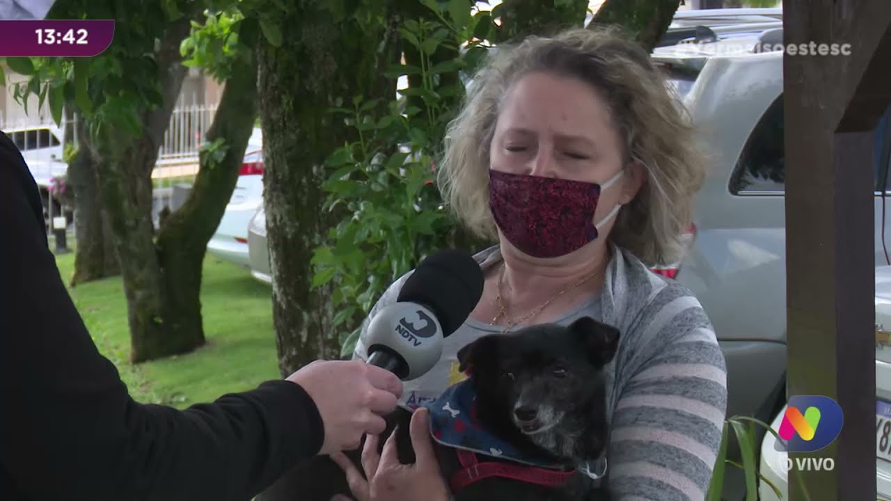 Dia Mundial dos Animais: protetoras de Chapec&oacute; pedem ajuda da comunidade