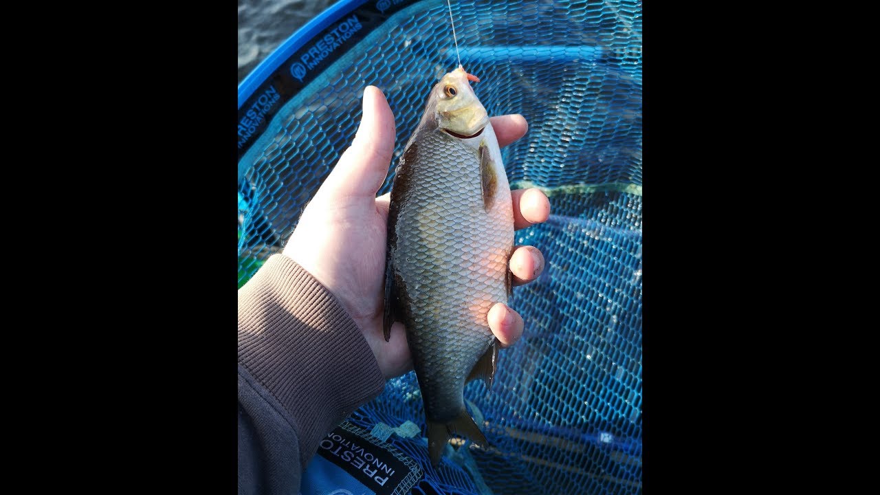Last Feeder Fishing on Upper Lough Erne for 2019