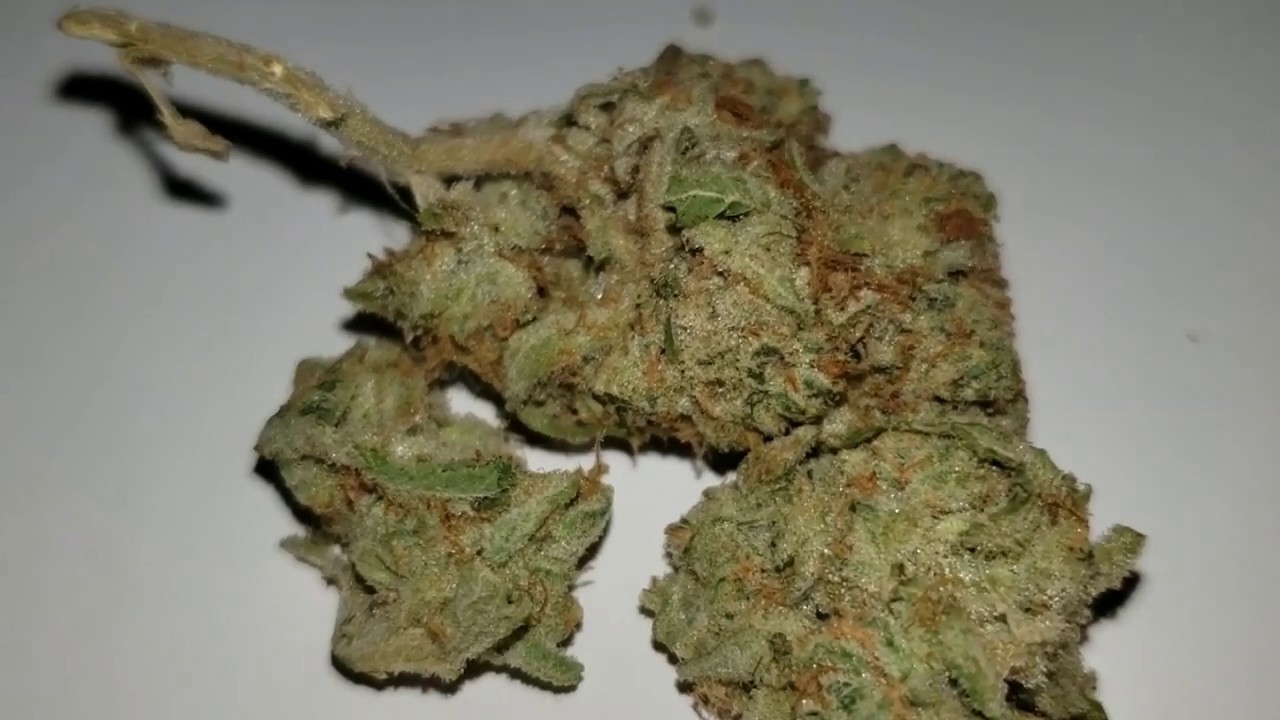STRAIN REVIEW 075: platinum zombie kush AAAA - Togoweed