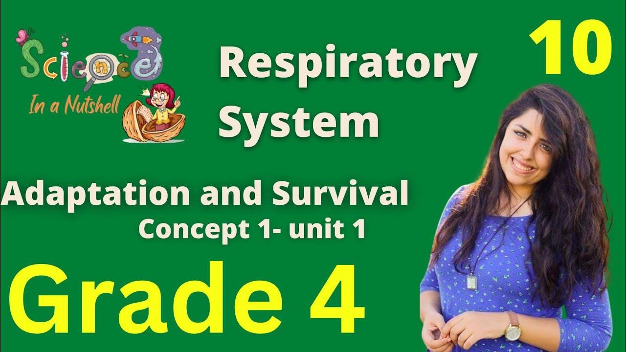 Science-Human Respiratory System-Concept 1 - Unit 1-Grade 4-video 10