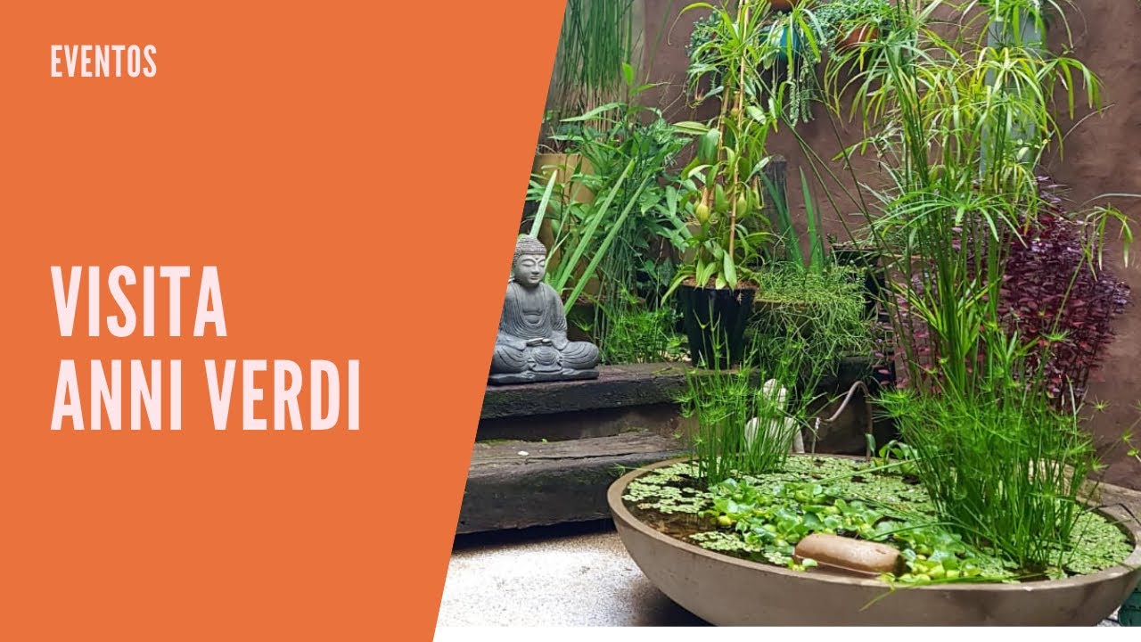 Fonte com plantas Anni Verdi