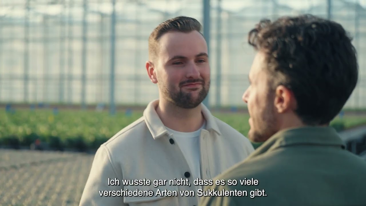 Wie gieße ich Sukkulenten?