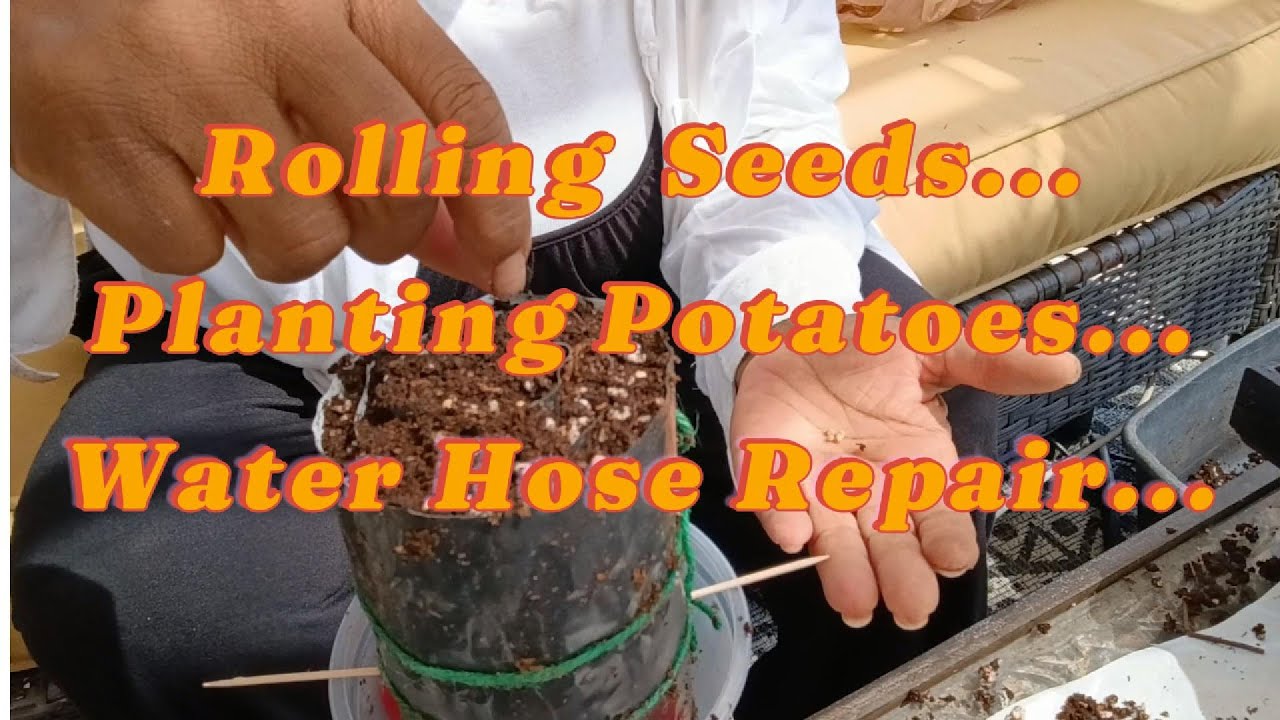 Garden Hacks You’ll Love: Roll-Up Seeds, Potatoes & More