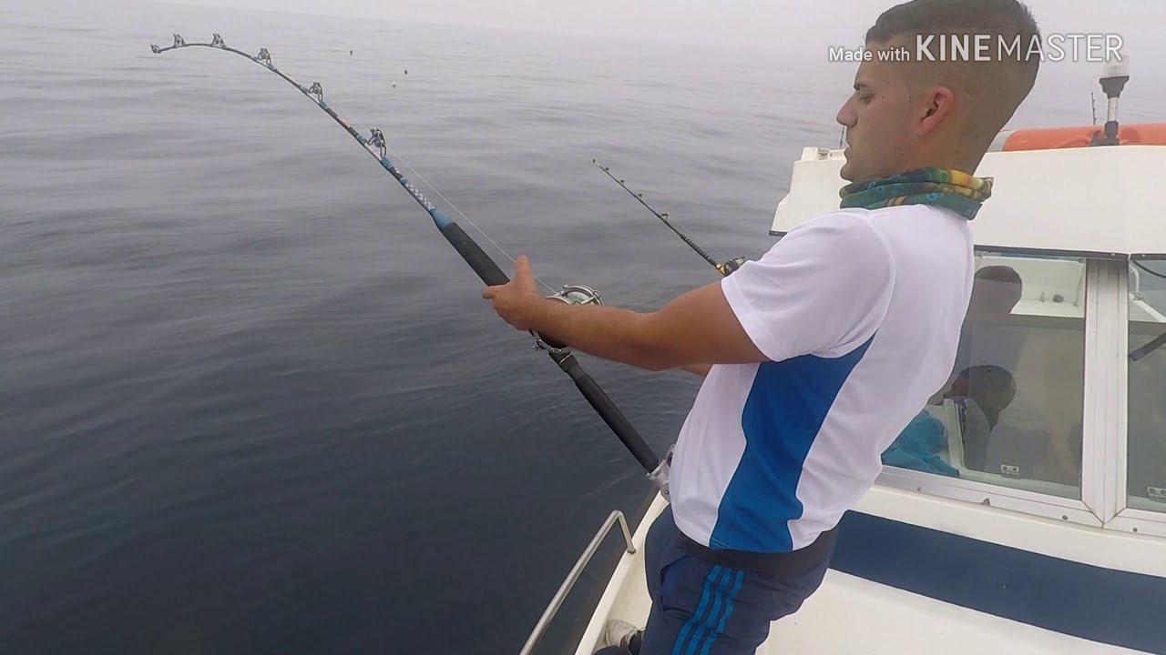 CA&Ntilde;A GRAUVELL KONA PERSEO 30lb EN ACCI&Oacute;N !