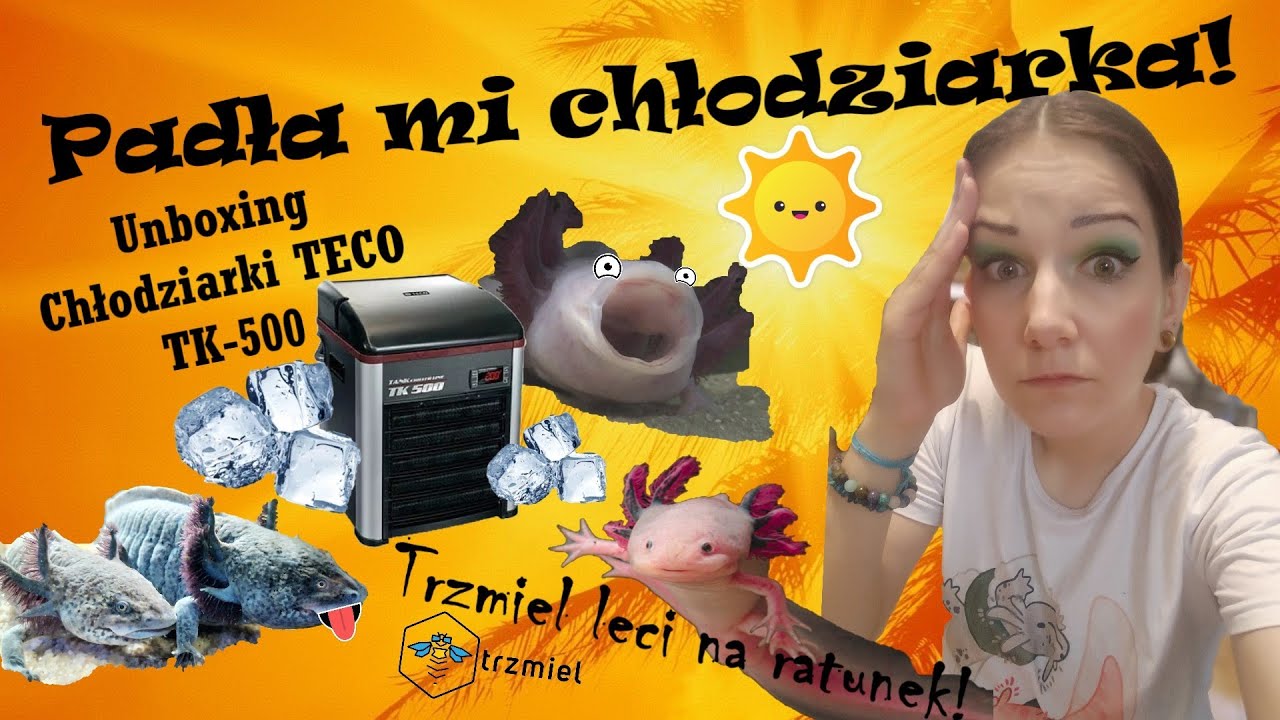 Upały nas dobiły! Nowa chłodziarka u Smoczej Mamy 🥶 Unboxing Teco TK-500 z Trzmiela