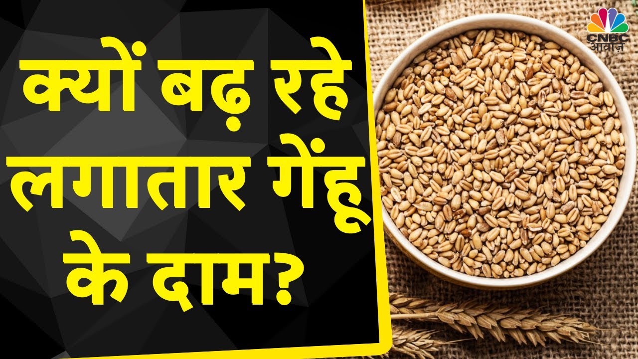 Wheat Price Today : गेहूं का मंडी भाव MSP के पार, महाराष्ट्र में भाव ₹3500/क्विंटल | CNBC Awaaz