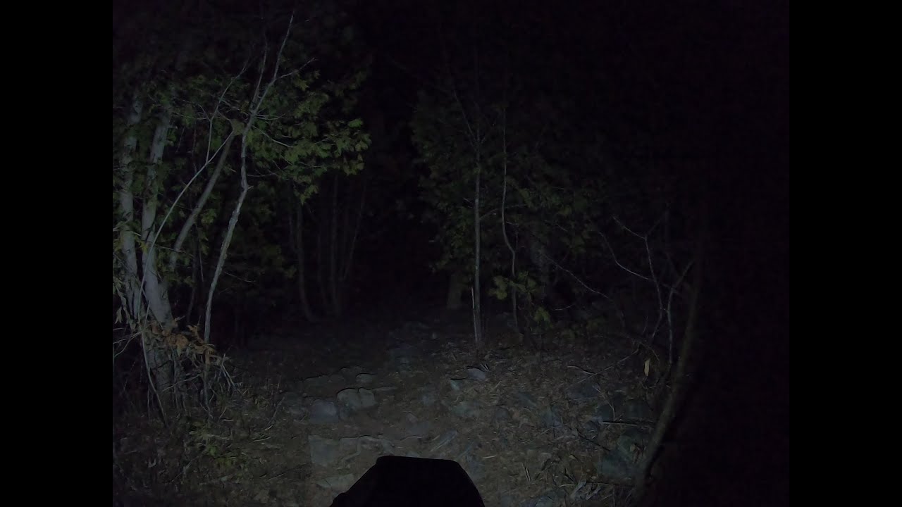 Walking alone in a haunted forest