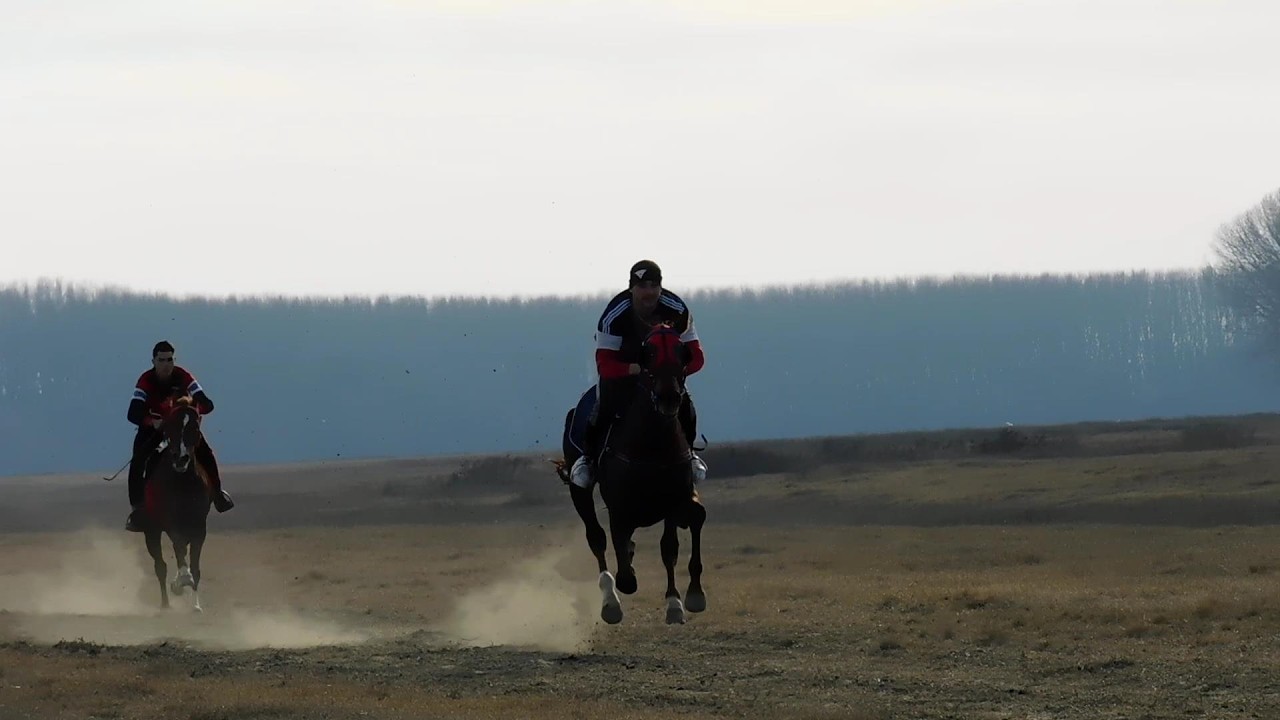 INTRECERE CAI LA FETESTI JUDETUL IALOMITA - CURSA 6 IANUARIE 2022 FULL VIDEO