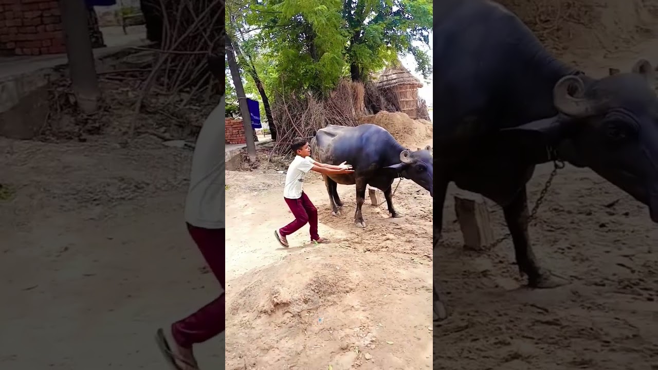 funny comedy scenes 😄🤣😝😂🤣😄😄 #shortsvideo#fulcomedy