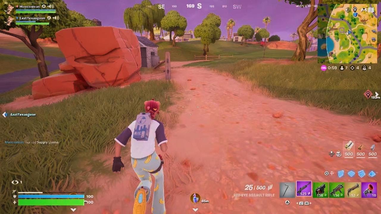 Fortnite W loot