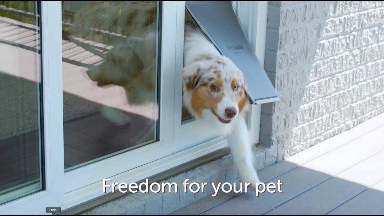 PetSafe&reg; Extreme Weather Sliding Glass Pet Door