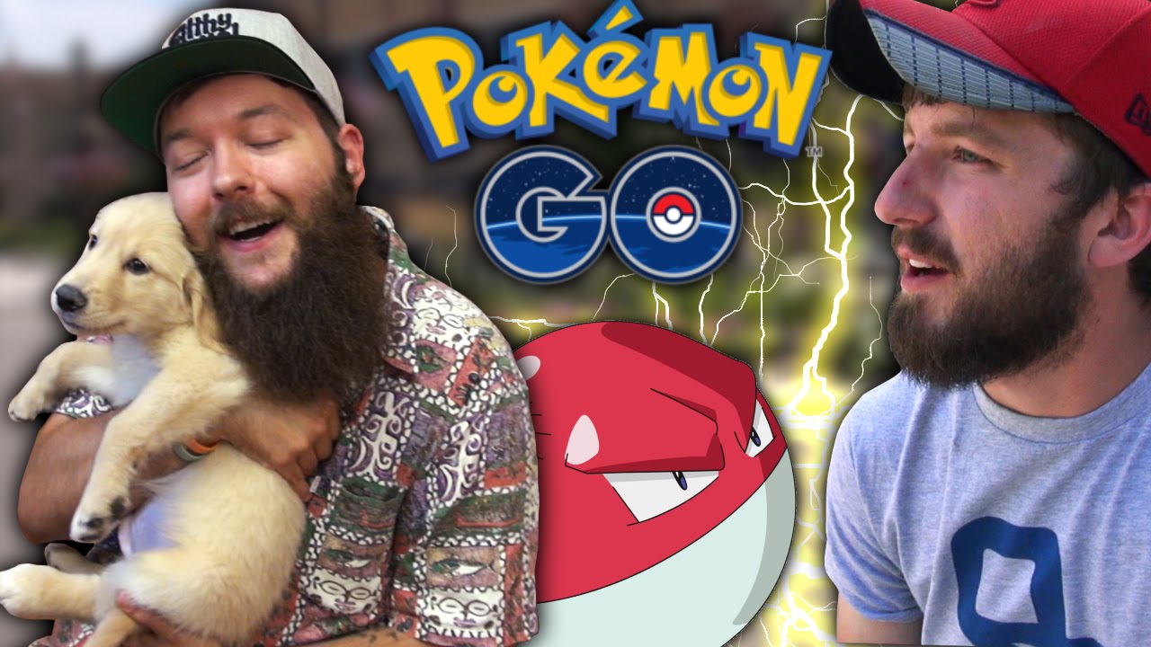 Pokémon GO | Puppy Pit Stop