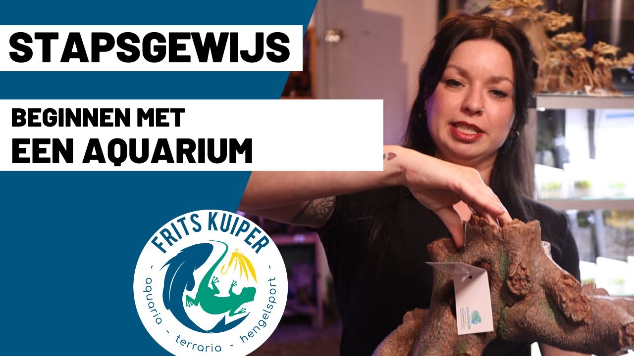 Stapsgewijze uitleg: Het opzetten van een aquarium voor beginners