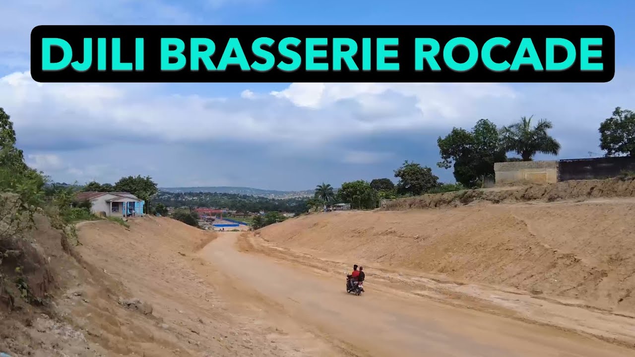NSELE  DJILI BRASSERIE