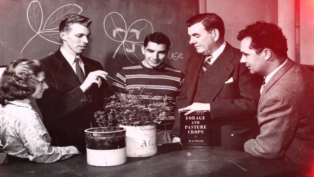 The Famous Rutgers Tomato, Then and Now