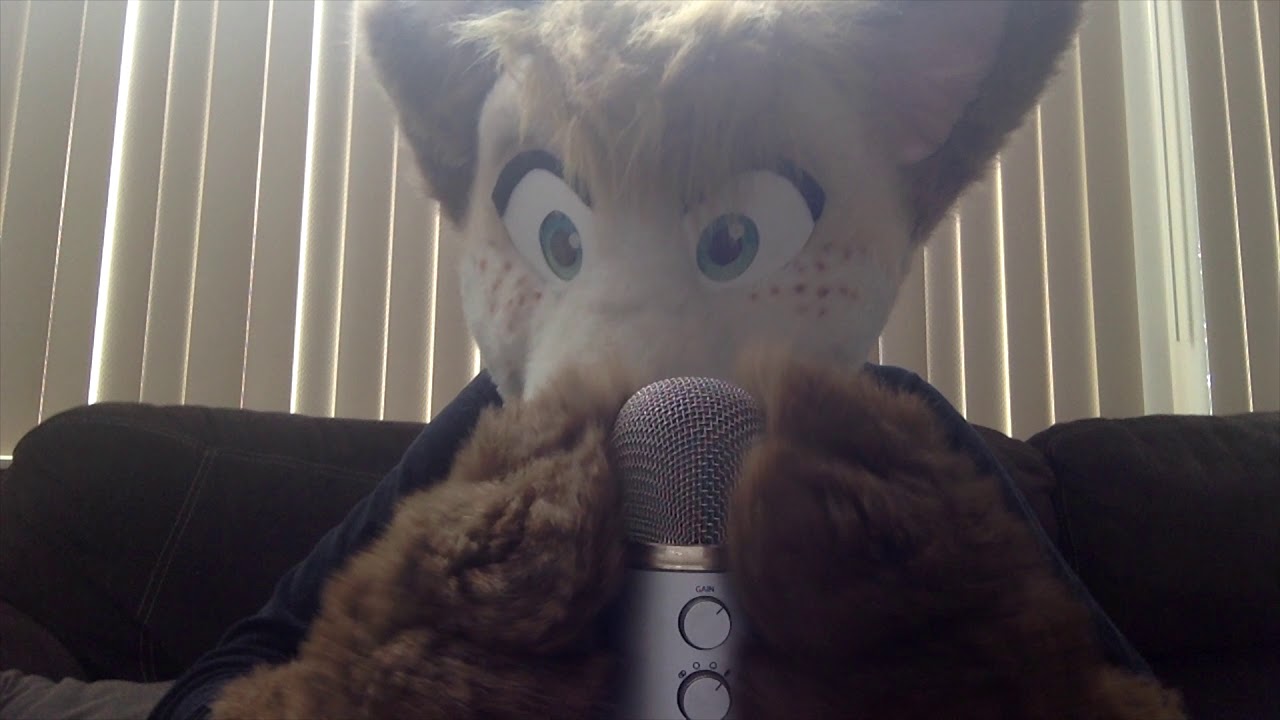 Furry ASMR |  Paw's