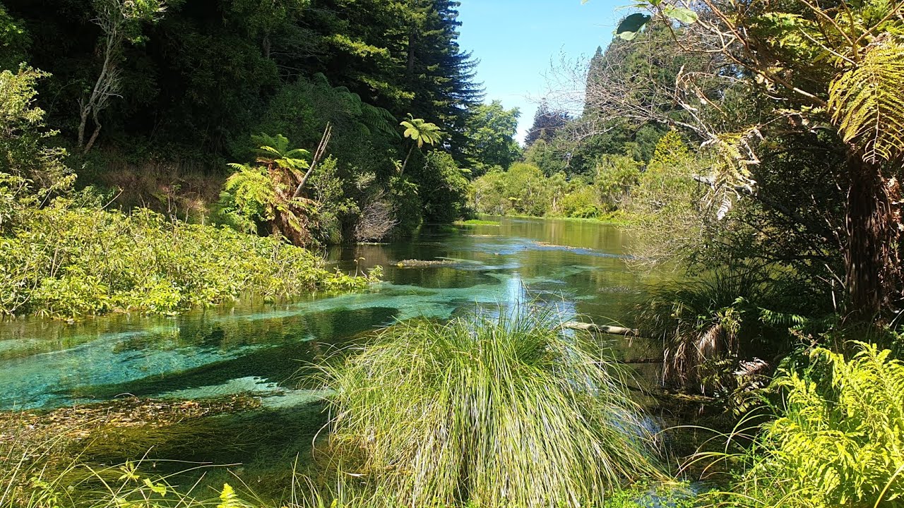 Hamurana springs - Rotorua, New Zealand
