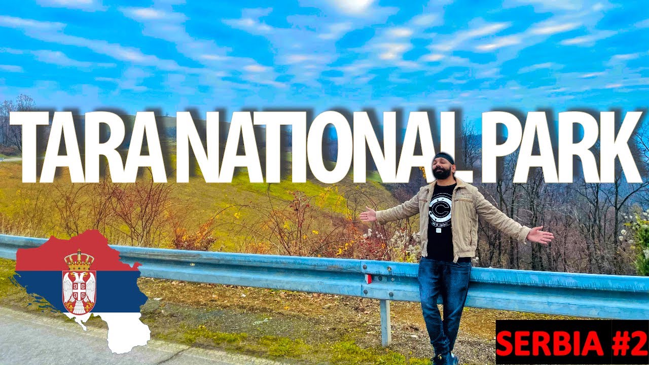Road Trip🚗 To Tara National Park🌄 From Belgrade😍!!! All info about Renting A car🚘 !!!