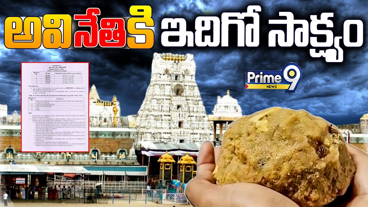 అవినేతికి ఇదిగో సాక్ష్యం | Tirupati Laddu Controversy | Prime9 News