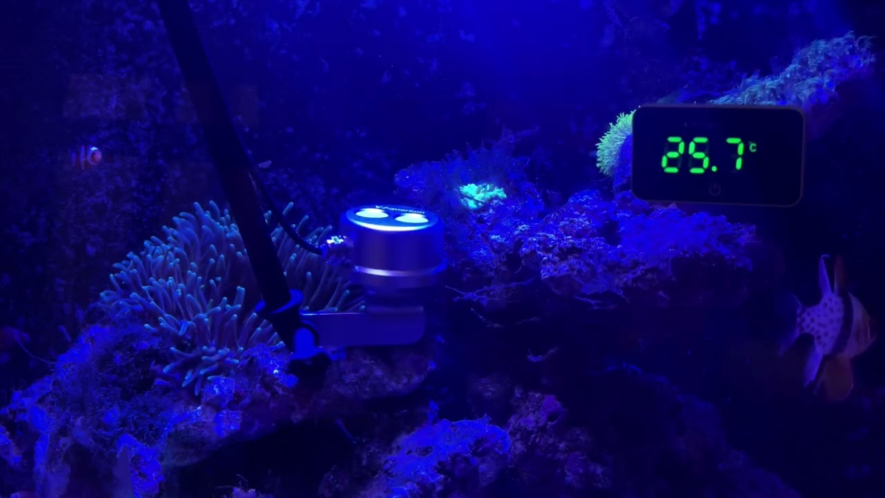 PAR Meter Aquarium, Reef. R,G,B PAR Seperately