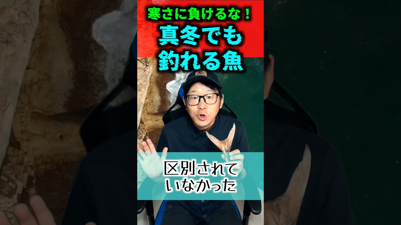 【3選】寒さに負けるな！真冬に釣れる魚3選【四季を楽しめ】