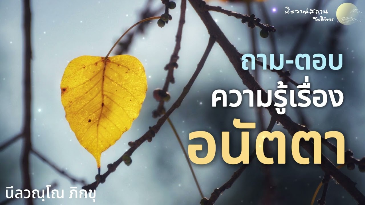 ถาม-ตอบ : ความรู้เรื่อง อนัตตา | พระอาจารย์ปัญญา นีลวณฺโณ