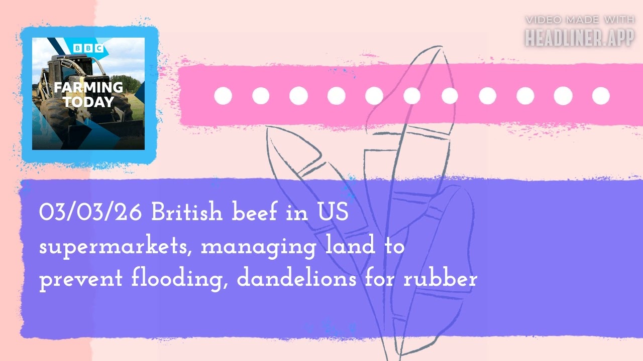 03/03/26 British beef in US supermarkets, managing land to prevent flooding, dandelions for...