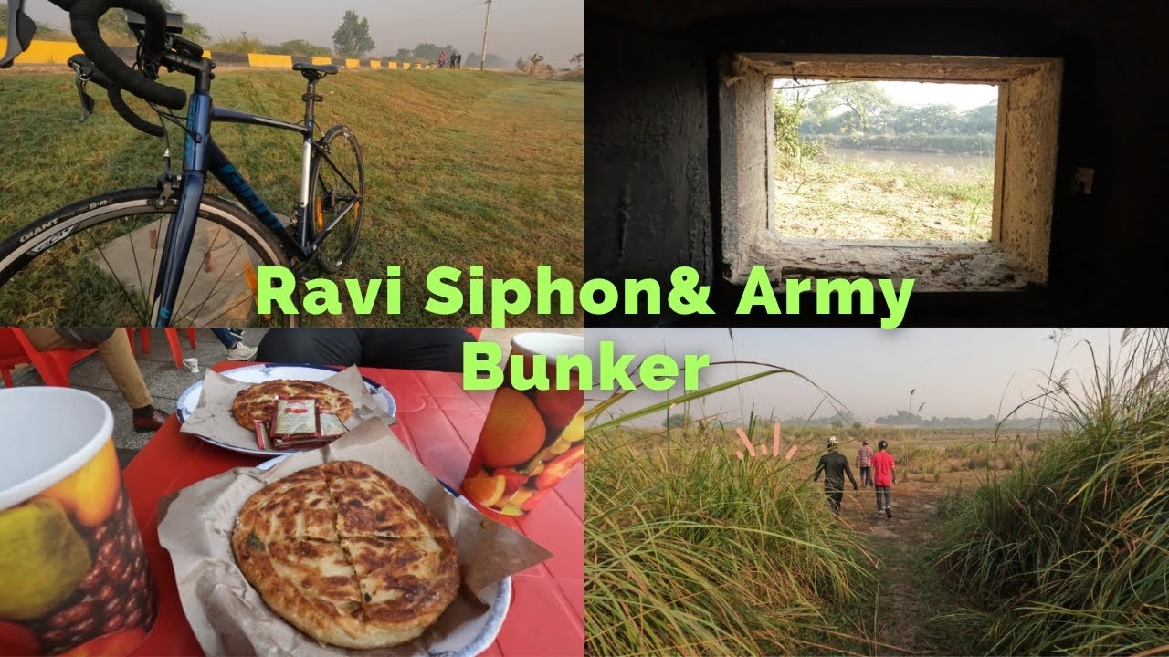RAVI SIPHON | Army Bunker 1965 | Cycling life