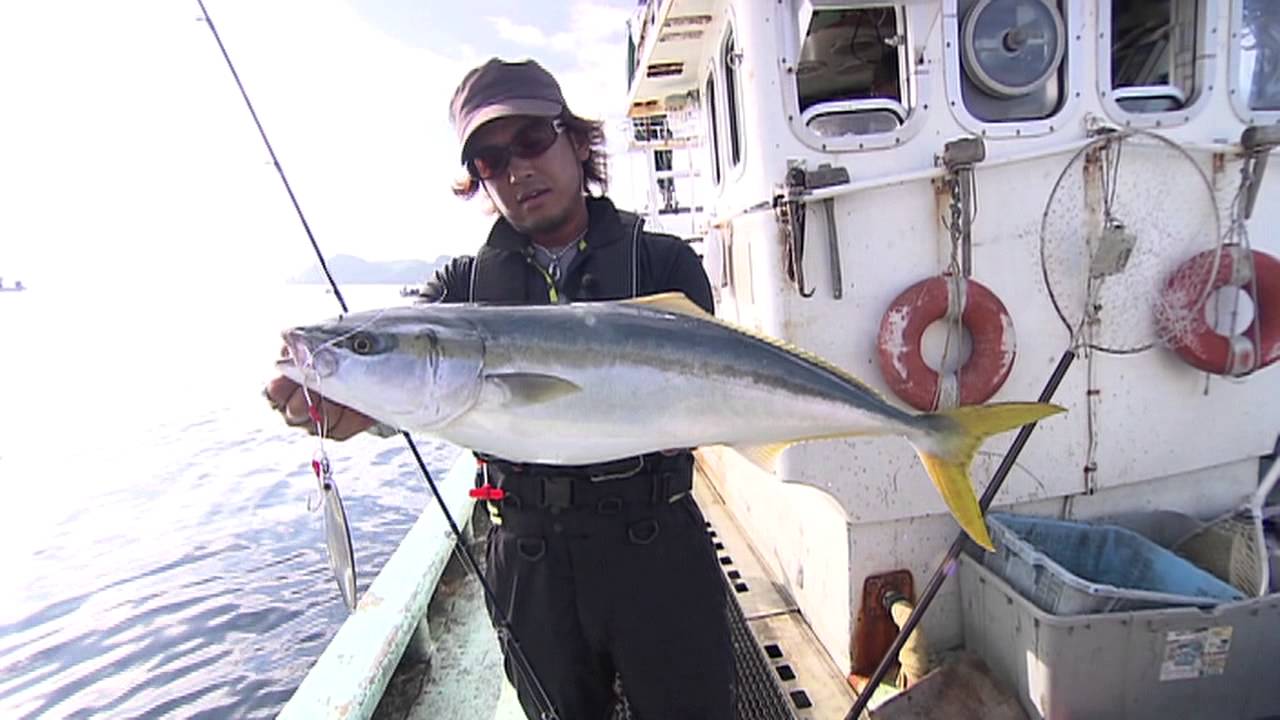 #027 北海道・積丹半島のブリ