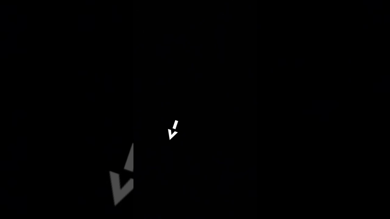 29 juli 1981