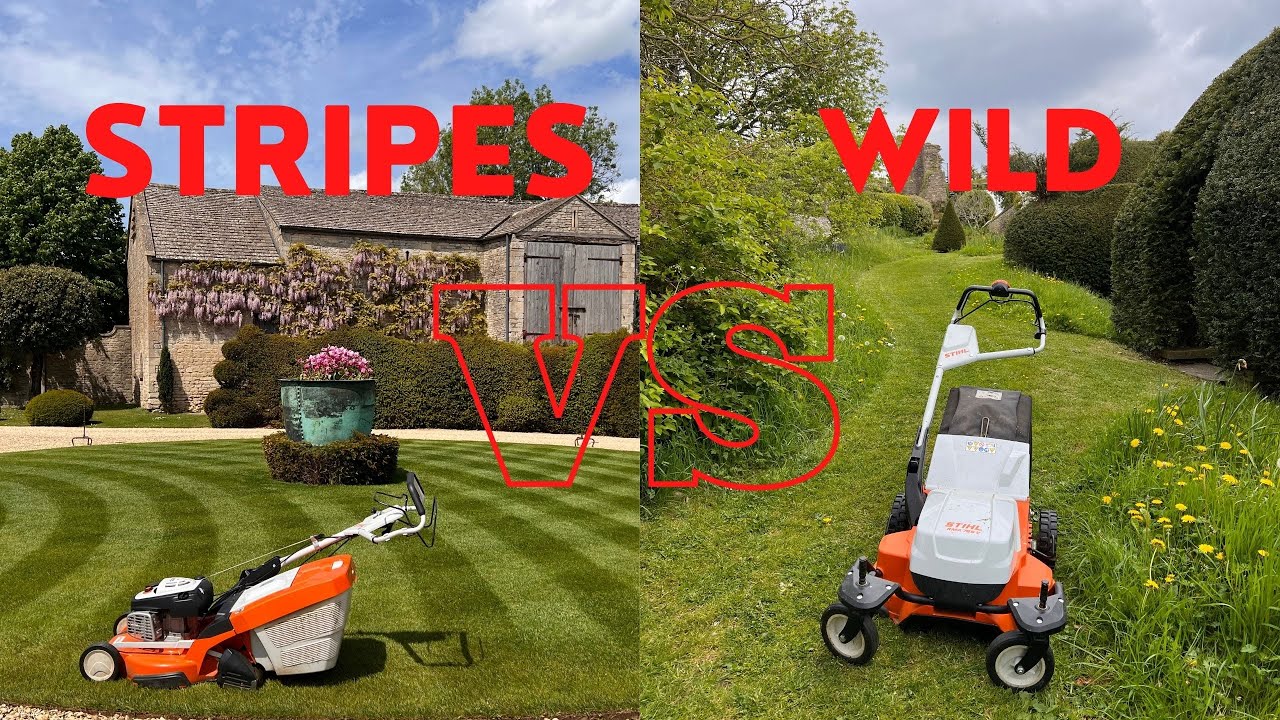 No Mow Vs Stripes