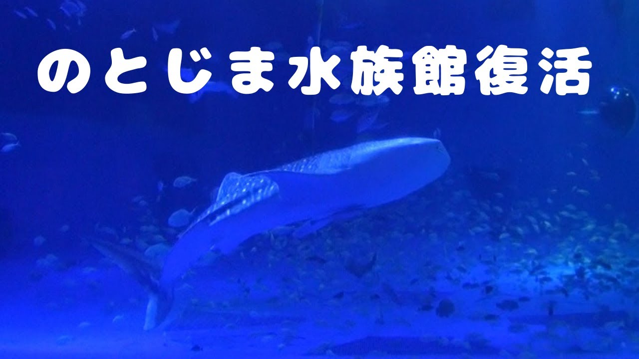 [Viog] 石川観光　石川県のとじま水族館　おかあさんといっしょ2