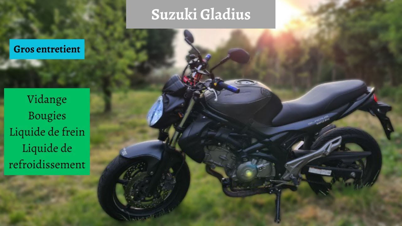 Suzuki Gladius : Gros entretient