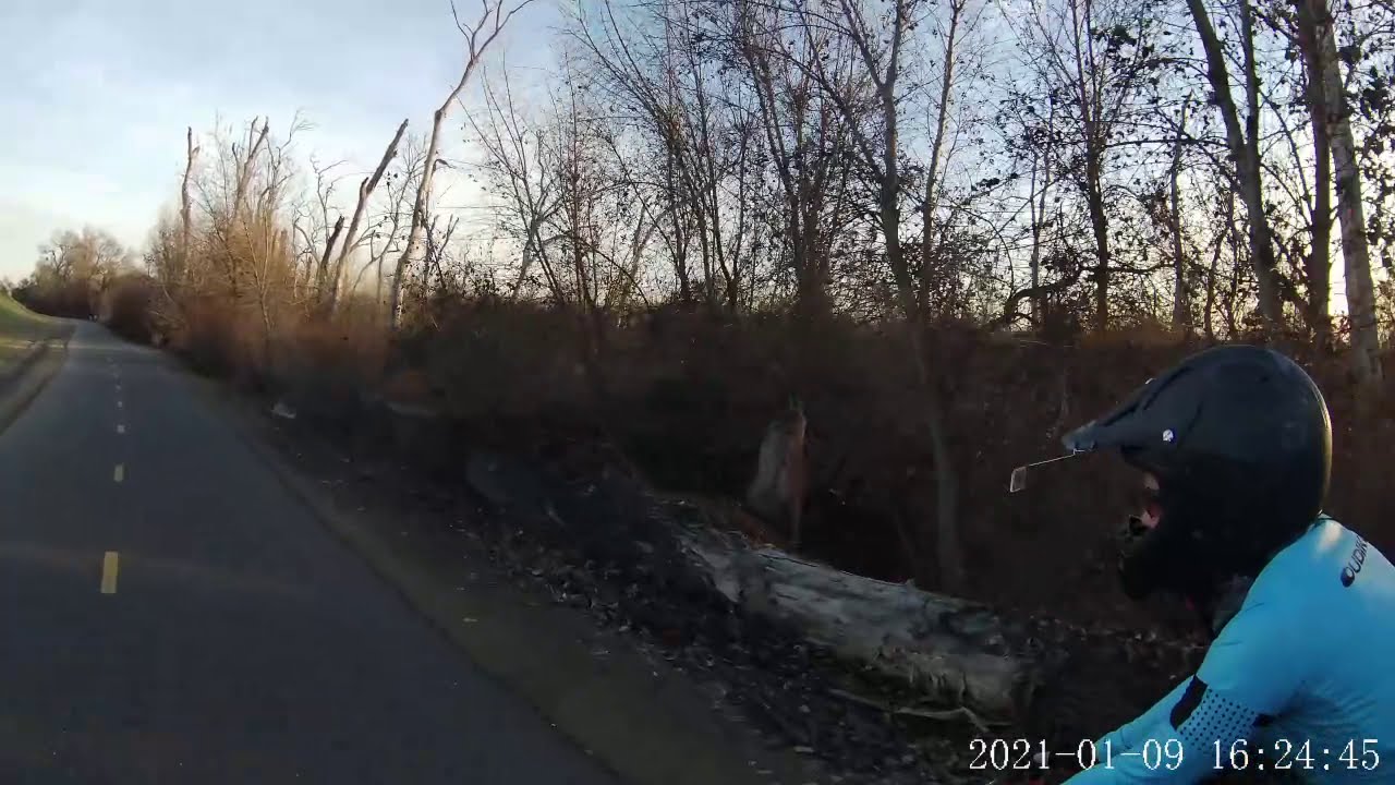 Jedediah Smith Memorial Trail - From Discovery Park to The Golf Course
