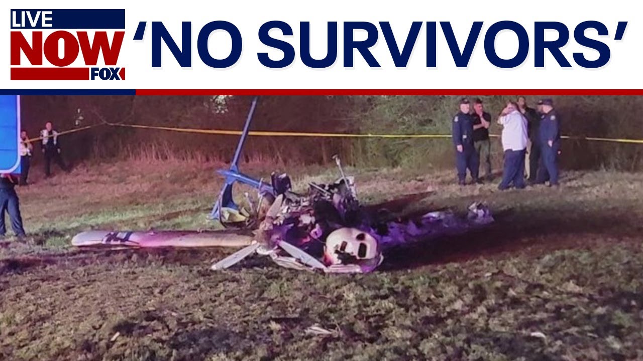 Nashville plane crash: 'Several' dead, heavy flames extinguished | LiveNOW from FOX