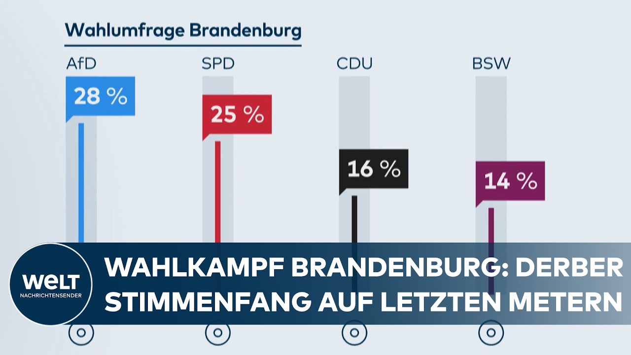 LANDTAGSWAHL IN BRANDENBURG: „Asylrecht abschaffen“, „beschränkte Meinungsfreiheit“ und SPD vs. AFD