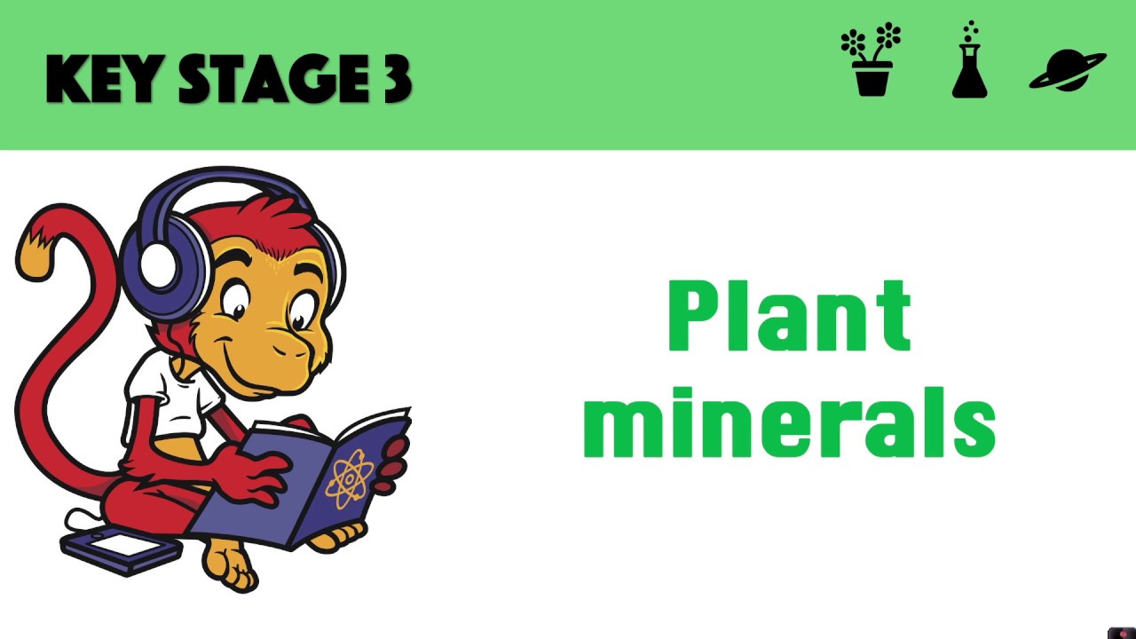 Plant minerals
