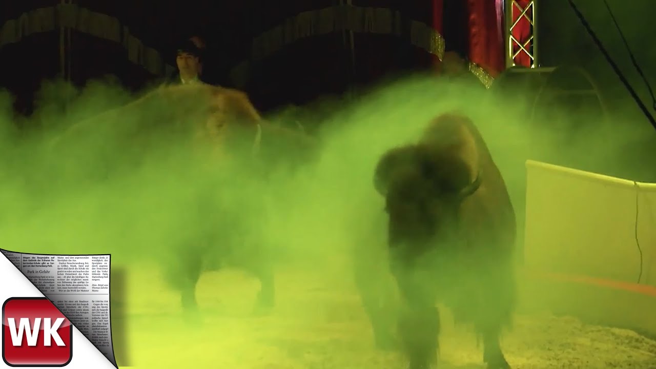 Wiesbadener Weihnachtszirkus