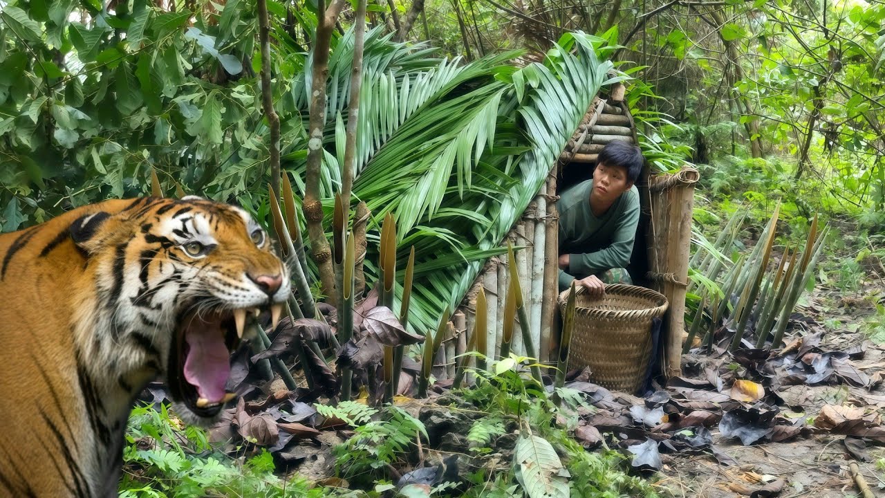 Life in the wilderness, the footprints of wild chickens, the escape from dangerous wild animals